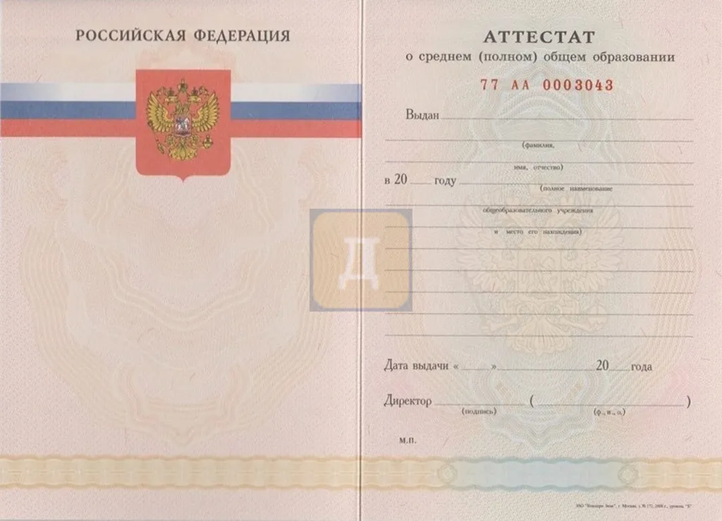 11 класс с 2008 по 2009 годы