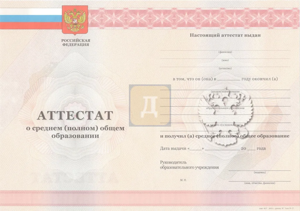 11 класс с 2010 по 2013 годы