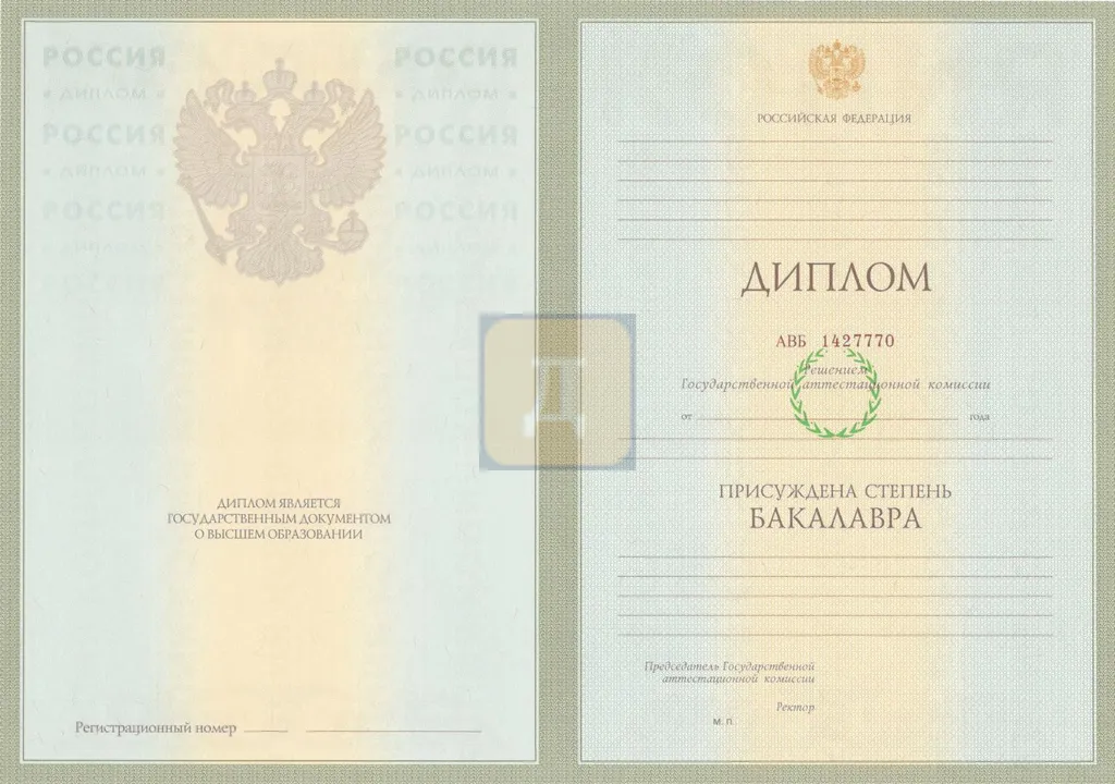 Диплом бакалавра с 2004 по 2008 годы