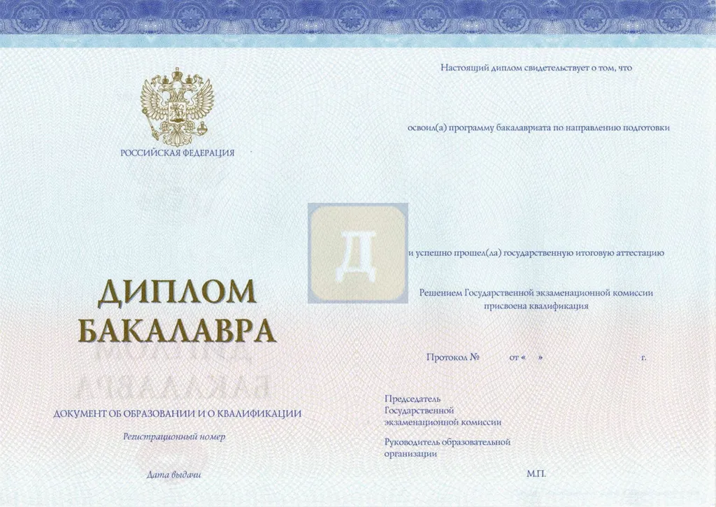 Диплом бакалавра (СпецБланк) c 2014 по 2026 годы