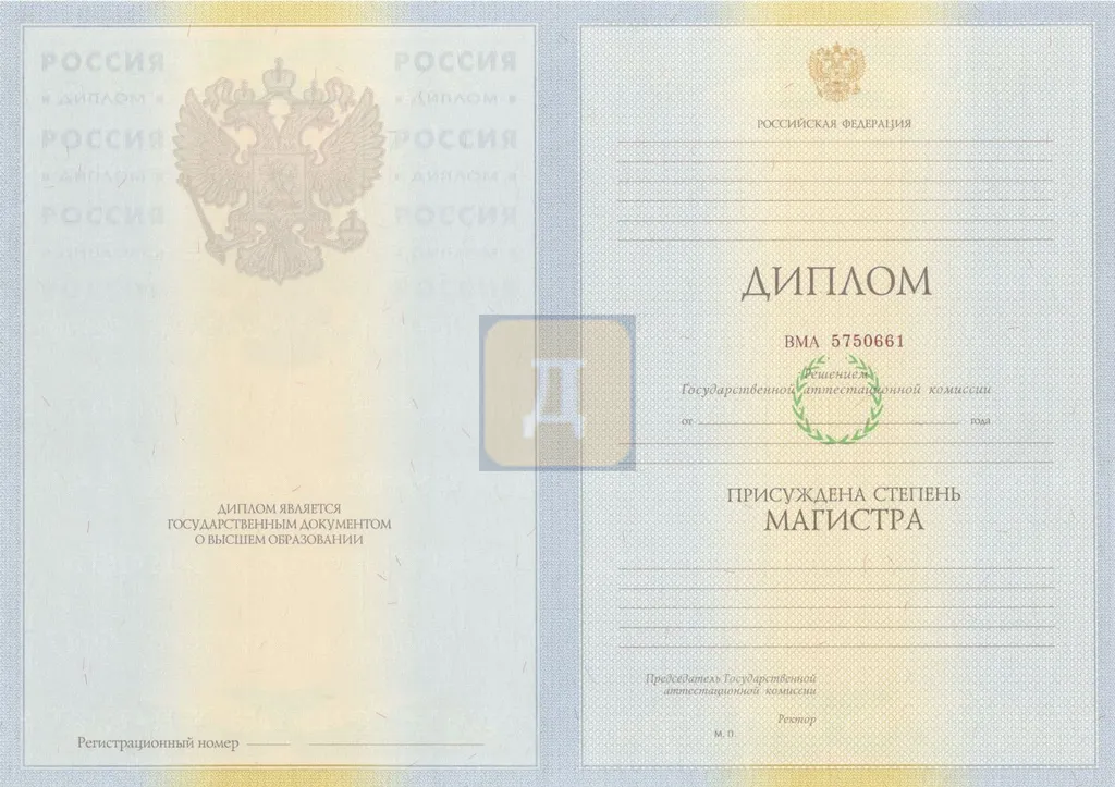 Диплом магистра с 2009 по 2011 годы