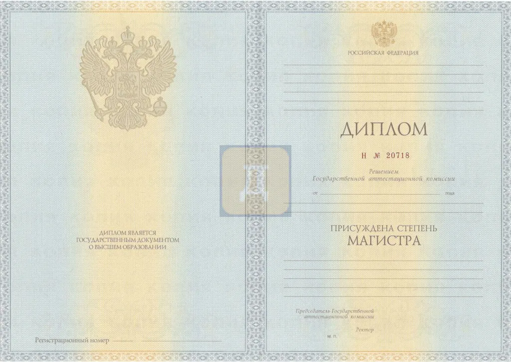 Диплом магистра с 2012 по 2013 годы