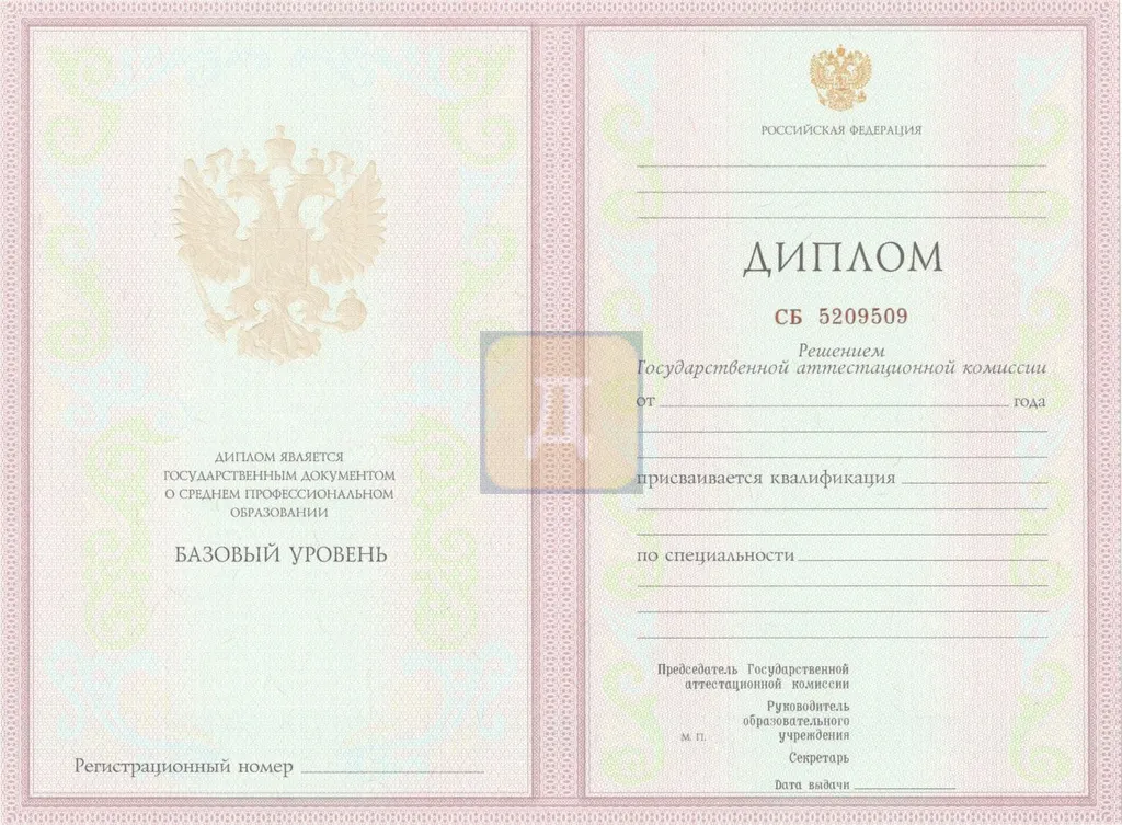 Диплом о среднем образовании с 2004 по 2007 годы