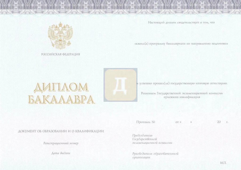 Диплом о высшем образовании (КИРЖАЧ) с 2014 по 2026 годы