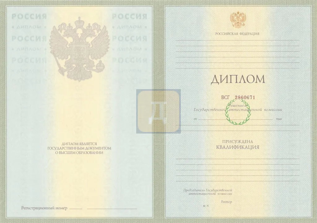 Диплом о высшем образовании с 2004 по 2008 годы