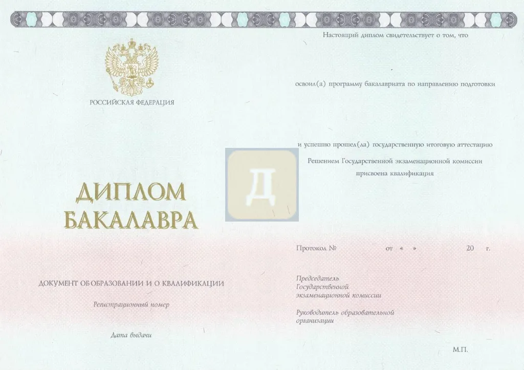 Диплом о высшем образовании с 2014 по 2026 годы