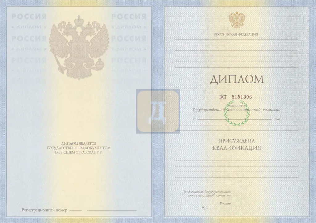 Диплом специалиста с 2009 по 2011 годы