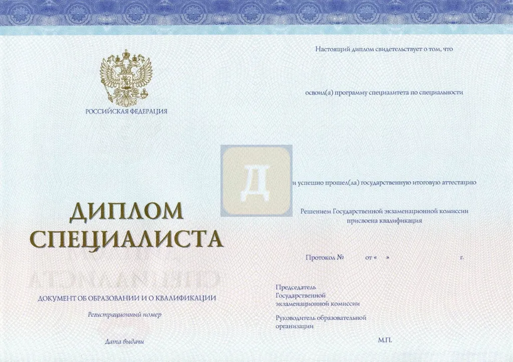 Диплом специалиста (СпецБланк) с 2014 по 2026 годы